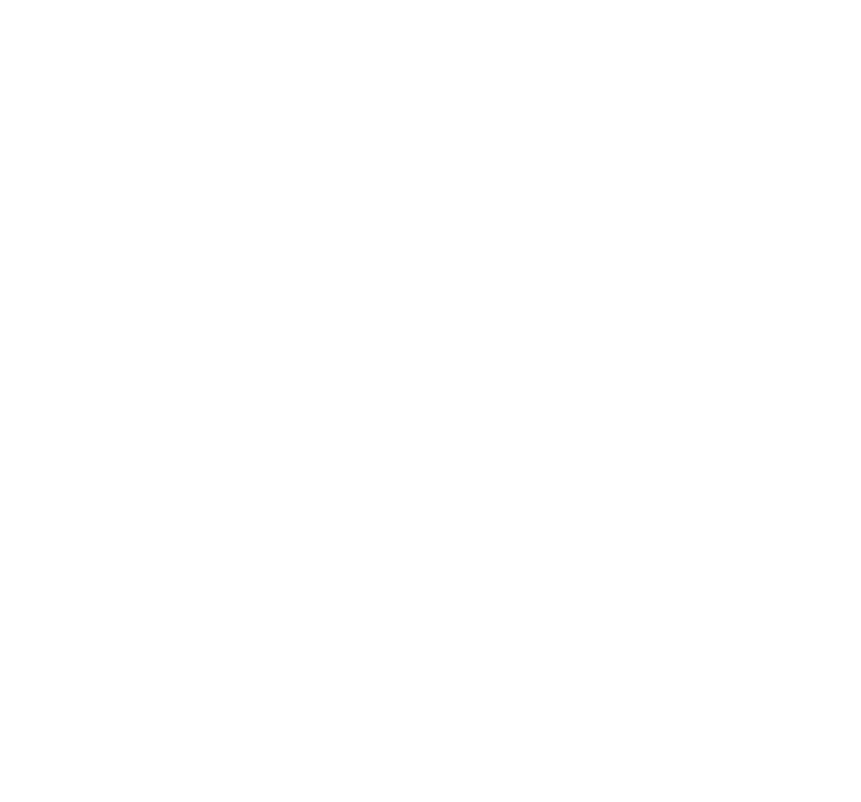 PalmFire